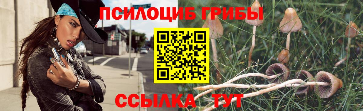 Псилоцибиновые грибы Magic Shrooms  Псилоцибиновые грибы Psilocybine cubensis  Вход с VPN  Ступино 