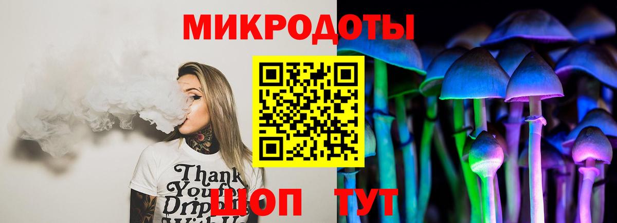 Галлюциногенные грибы Psilocybe Ступино